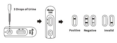 Snelle de Testcassette van Entamoeba+Giardia+Cryptocombo (Faecaliën) in 3 Vensters