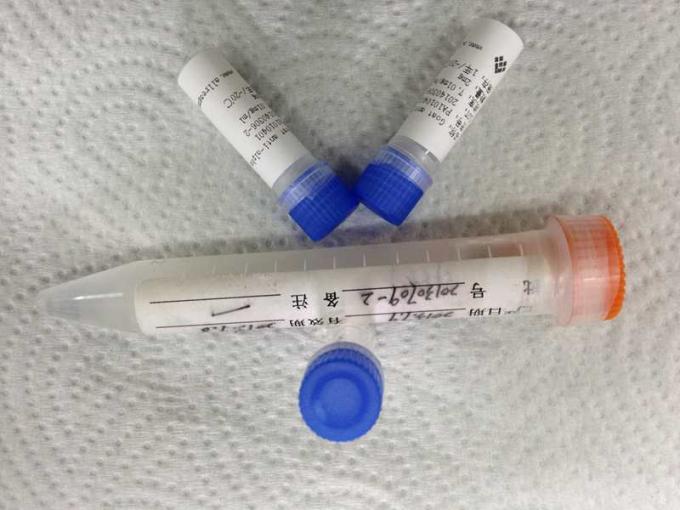 Monoclonal Antilichaam van de hoge Prestatiesmuis