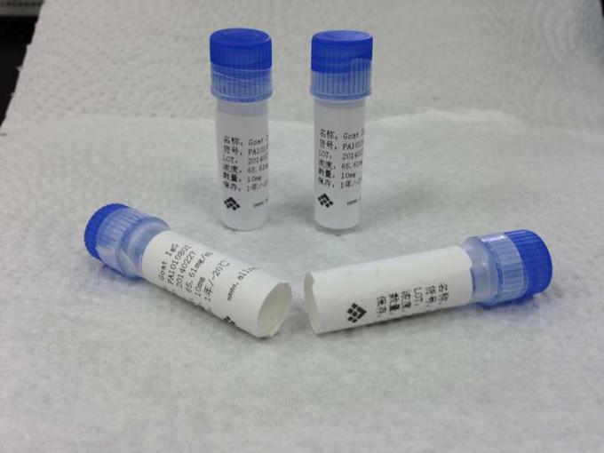 Anti - Tricyclic Kalmerend een Muishybridoma Monoclonal Antilichaam