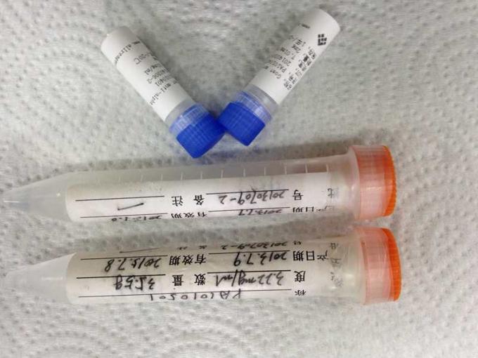 Verenigde Drug van speeksel benzodiazepines-BGG de Synthetische Antigenen van Misbruik voor IVD Diagnostiekontwikkeling