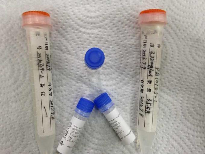 Gezuiverde propofol-BSA Synthetische Antigenen Verenigde Drug van Misbruik