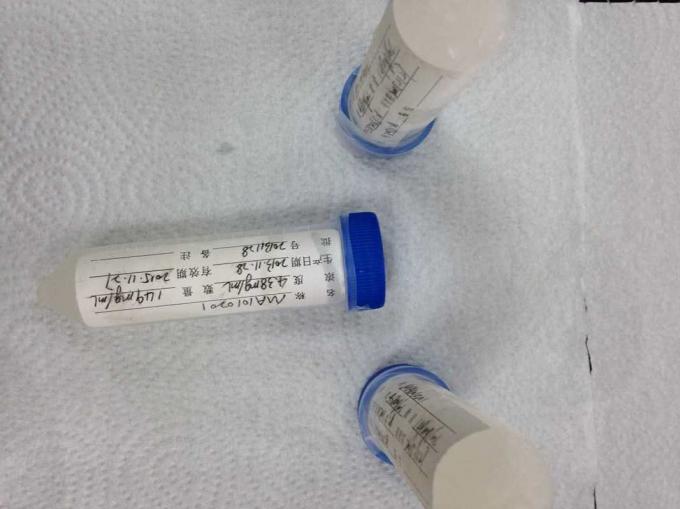 Gezuiverde Recombinante Antigenen