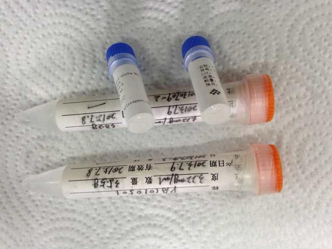Muishybridoma Monoclonal Antilichaam
