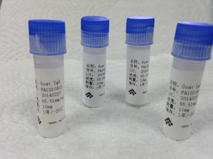 Gezuiverd Muis Monoclonal Antilichaam