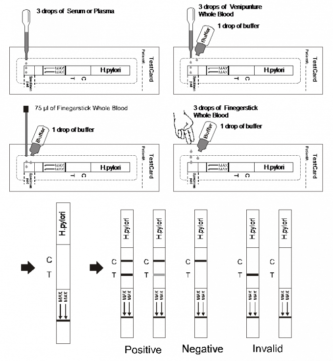 H.pylori de Analysesstroken van Immunochromatographic van de Antilichamen Zijstroom, Geheel Bloed/Serum/Plasma