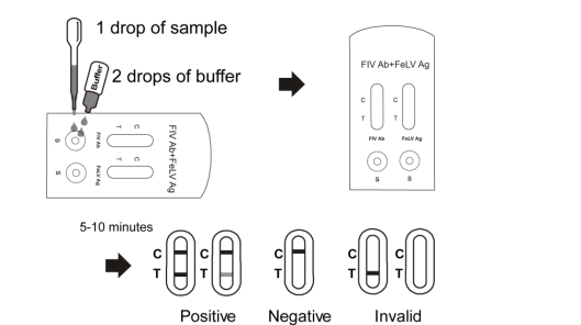 Fivantilichaam + Felv-Snelle de Testcassette van Antigeencombo, de Snelle Uitrustingen van de Drugtest