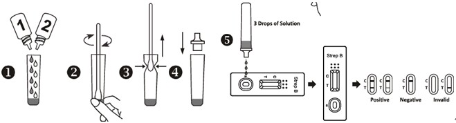 Snelle Streptokok-Test voor Kwalitatieve Opsporing van Groepsb Streptokokken (GBS) in Urine