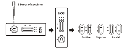 Één Gonadotropin HCG van Stapotc Menselijk Chorionic het Huisgebruik van Opsporings Snel Kenmerkend Uitrustingen
