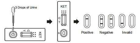 Hoog - Druggebruik Van de kwaliteits Nauwkeurig Ketamine Één de Kenmerkende Uitrustingen van StepTesting in Menselijke Urine met Ce
