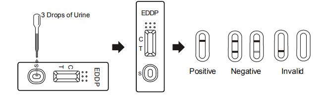 Snelle test voor de kwalitatieve opsporing van ethylenediamine-Dimethylphosphinic zure EDDP in menselijke urine