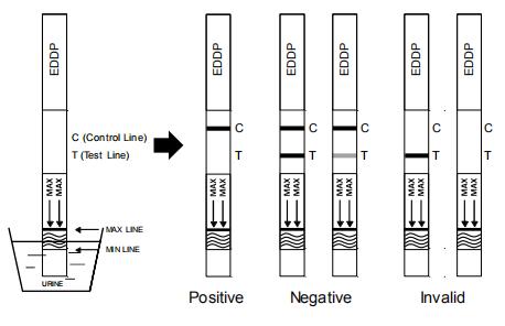 Snelle test voor de kwalitatieve opsporing van ethylenediamine-Dimethylphosphinic zure EDDP in menselijke urine