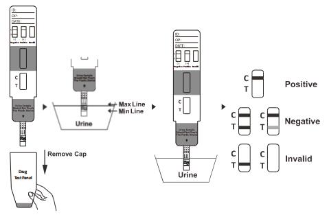 Snelle test voor de kwalitatieve opsporing van ethylenediamine-Dimethylphosphinic zure EDDP in menselijke urine