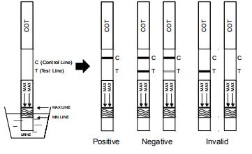 Cotinine Snelle Kenmerkende Peilstok, Cassette, PaneTest-Uitrustingen, Nicotinemetabolite Kwalitatieve Opsporing met verklaard Ce
