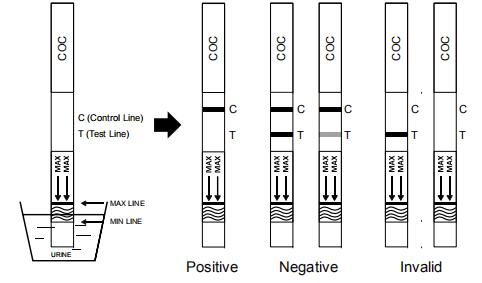 Hoog - Druggebruik Van de kwaliteitscoc Cocaïne Cassette/Peilstok/Comité de Urine van Testuitrustingen met Ce en FDA