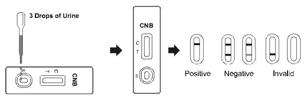 Cannabinol CNB Druggebruik Snel de Testcassette/Peilstok/Comité van de Testuitrusting in Urine