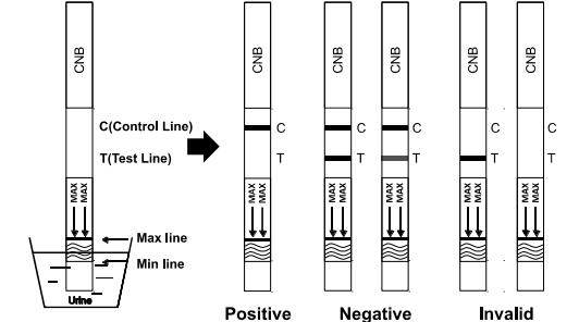 Cannabinol CNB Druggebruik Snel de Testcassette/Peilstok/Comité van de Testuitrusting in Urine