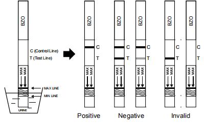 De nauwkeurige Benzodiazepines (BZO) test van de urinedrug in Urine