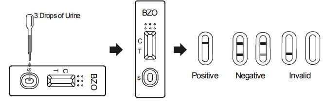 De nauwkeurige Benzodiazepines (BZO) test van de urinedrug in Urine
