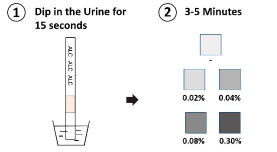 Van de alcohol (ALC) Test van de de Uitrustingen ontdekken de Snelle Kenmerkende Cassette/Peilstok/Comité Testuitrustingen Aanwezigheid in Urine met Ce