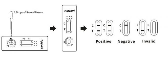 H. Snelle de Testcassette van het pyloriantilichaam (Serum /Plasma) Met Ce