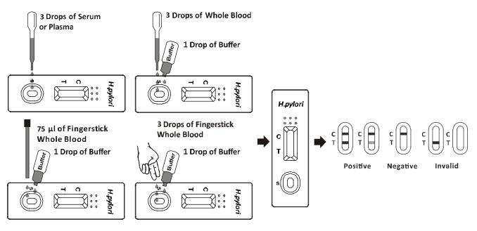 H. Snelle de Testcassette van het pyloriantilichaam (Geheel Bloed /Serum/Plasma) met Ce