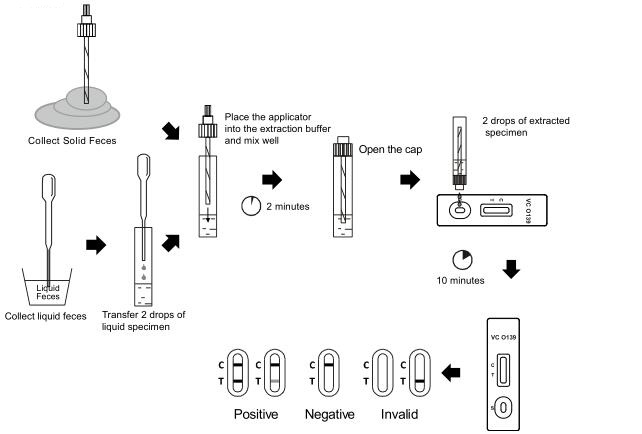 Cassette Vibrio van de choleraeo139 (VC O139) de Snelle Test (Faecaliën)