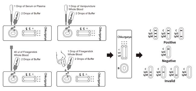 Cassette van de Chikungunyaigg/igm de Snelle Test (Geheel Bloed/Serum/Plasma)