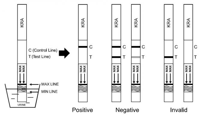 Cassette/Peilstok/Comité van de de Testcassette van Nauwkeurigheidskratom Snelle (Urine) Druggebruik Testuitrusting met Ce