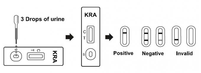 Cassette/Peilstok/Comité van de de Testcassette van Nauwkeurigheidskratom Snelle (Urine) Druggebruik Testuitrusting met Ce