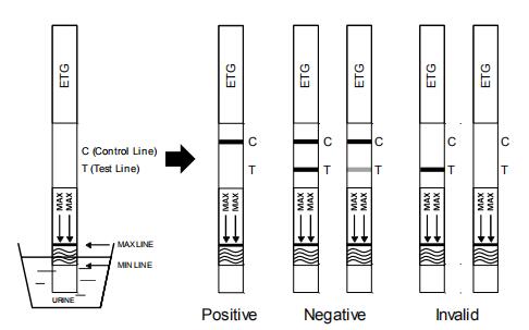 Cassette/Peilstok/Comité Ethylurine 500 van Glucuronide (ETG) Druggebruik Van ng/mL*1000 ng/mL Snelle Testuitrusting voor de Diagnose