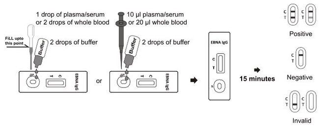 Snelle de Testcassette van EBNA IgG met Specimen van Geheel Bloed/Serum/Plasma