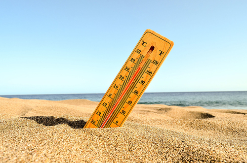 Latest company news about The Heat is On: Stijgende temperaturen brengen gezondheidsrisico's met zich mee