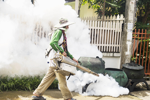 Het laatste nieuws van het bedrijf over Wat u moet weten over dengue koorts als de gevallen zich naar nieuwe plaatsen verspreiden