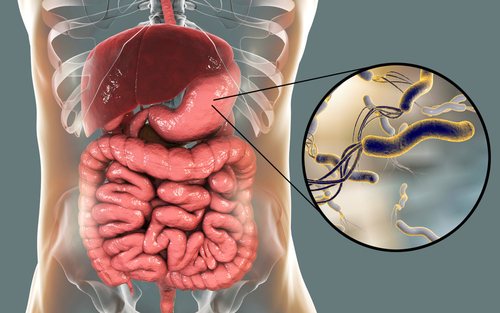 Het laatste nieuws van het bedrijf over Helicobacter pylori: de verborgen oorzaak van maaggezondheid ontdekken