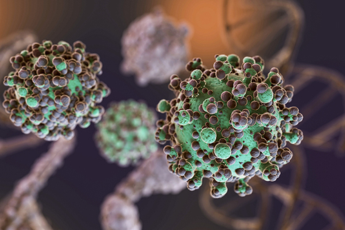 Laatste bedrijfsblogs Oncogenic Viruses: The Hidden Threat to Public Health