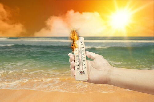 Laatste bedrijfsblogs Beat the Heat: Staying Safe When Temperatures Soar