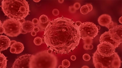Latest company news about Meer dan bevestigd of veronderstelde 100 zijn gevallen van monkeypox gemeld in 12 landen, met inbegrip van de V.S.