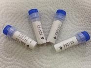 Mouse Purified Anti - Morphine Mouse Mono clonal Antibody Liquid For Vitro Research