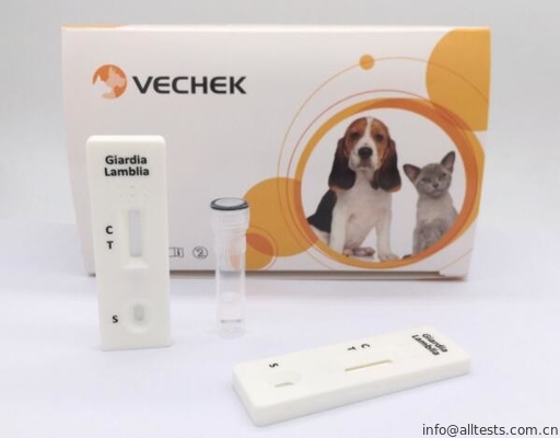 Good price Geschikte Honds Snelle Kenmerkende Eenvoudige de Uitrustingscassette van Giardia Lamblia en snel online
