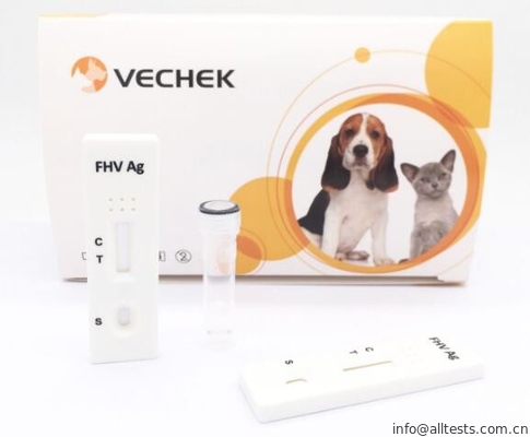 Good price Opmerkelijke Snelle Katachtige FHV het Antigeen Snelle Test van Testuitrustingen met Hoge Nauwkeurigheid online