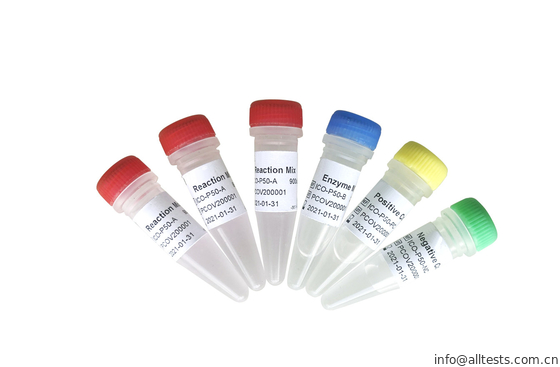 Good price Allchek in real time sars-cov-2 Analyse 200 Copies/ML van Rechts Qpcr online