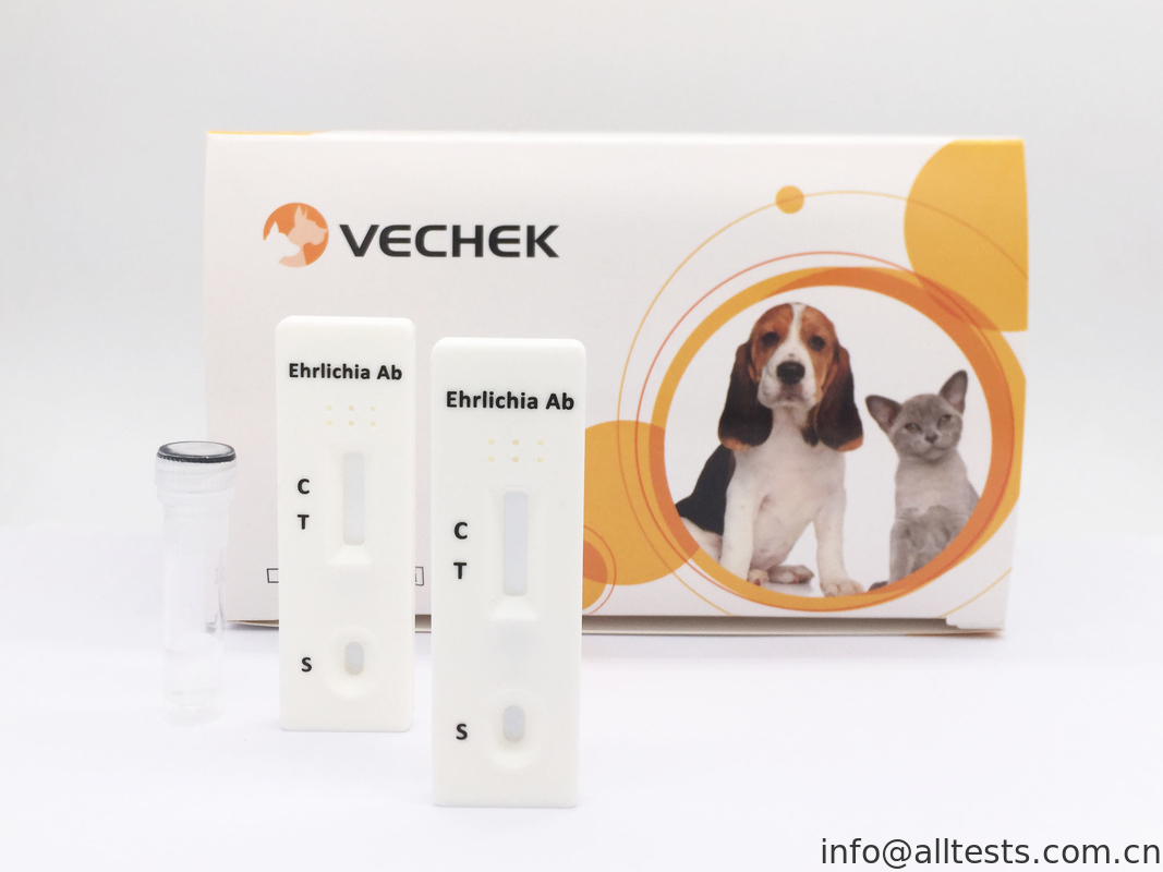 Ehrlichia Canis Antibody Rapid Test Cassette , Rapid Blood Test Easy To Use