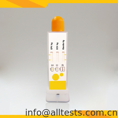 Good price Rapid Diagnostic Test Kit Voor CPV CCV Giardia Lamblia In Feces online