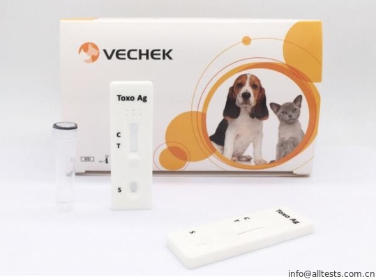 Good price Één Test van de Stap Honds Snelle Analyse Test Toxoplasma Gondii Ag Met lange levensuur online